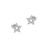 Exquisite Micro-set Zircon Five-pointed Star Earrings for Women New Light Luxury Niche Super Flash Earrings