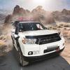 4RUNNER Front Bumper Grille Mesh, Suitable for 2012-2015 Models