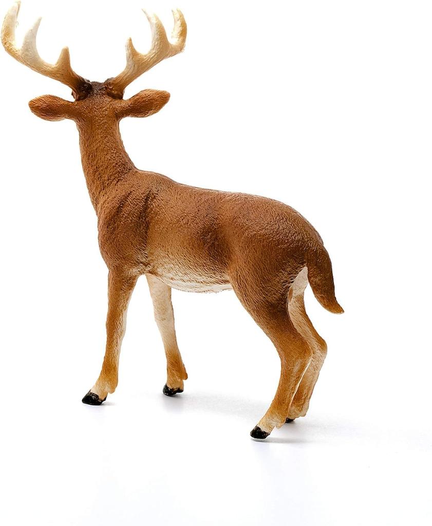 Schleich Wildlife Deer Ages Realistic Animal Toy 14818 White-tailed (Male) Figurine, 3+,
