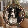 2D Flat Acrylic Border Collie Stained Glass Style Sun Catcher,Round Acrylic Window Hanging Decoration, Animal Theme, Home Decor for Living Room Office