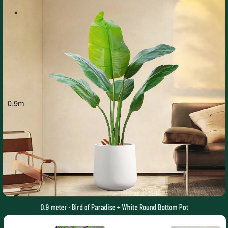 High-End Indoor Bird of Paradise Decor: Luxury Potted Traveler's Palm