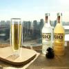 Heat-Resistant Double-Layer Glass Cup for Wine, Coffee, Whiskey, Cocktails – Transparent Drinkware