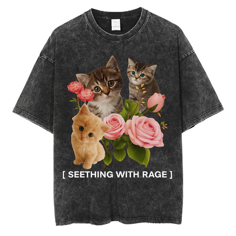 Washed Funny Seething WIth Rage Cat Meme T-Shirt Cats Lovers Gifts Men Women Fashion Aesthetic Short Sleeve Cotton Loose T Shirt S разноцветный