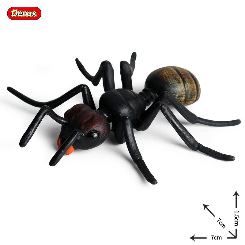 Oenux Wild Animals Simulation AArdvark Anteater Armadillo Pangolin Ant Natural Enemy Figurines PVC Model Collection Kid Toy Gift