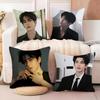 Cool Actor Zhang Linghe Pillow Case Anti-dustmite Pillow Invisible Zipper Silky Short Plush Sofa Cushion Cover
