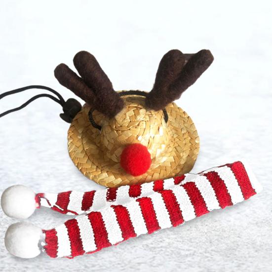 Buy baigeshi 2Pcs/Set Lizards Hats Scarf Antler Decor Dressup