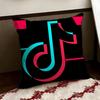 TTikTokK Cushion Cover Reversible Soft Durable Pillow Cover Home  Car MultiScene Use for Daily Comfort