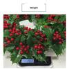 Christmas Red Fruit Decoration Wreath Simulation Berry Decoration Christmas Vine Circle Window Layout Wall Hanging Wreath