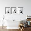 Black White Animals In Tub Canvas Posters and Print Penguin Elephant Zebra Giraffe Wall Art Painting Pictures For Bathroom Decor No Frame