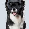 Windproof Soft Pet Dogs Glasses for Snow Sports Dogs Snow Eye Protections Eye Wear Goggles for Sand Protections