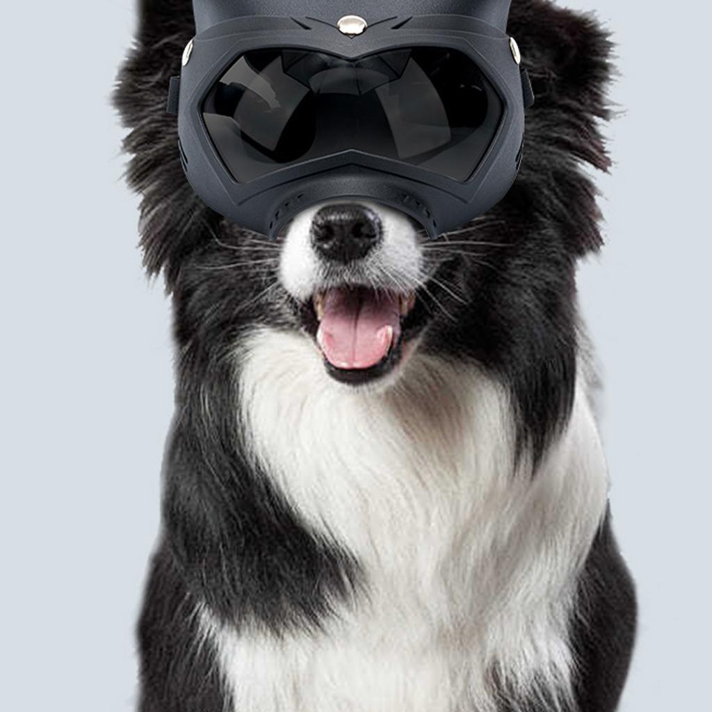 Windproof Soft Pet Dogs Glasses for Snow Sports Dogs Snow Eye Protections Eye Wear Goggles for Sand Protections