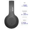 Sony WH-H810 Wireless Headphones Hi-Res Compatible Alexa Built-in Bluetooth 30H Playback Touch Sensor Compact Black WH-H810 BM