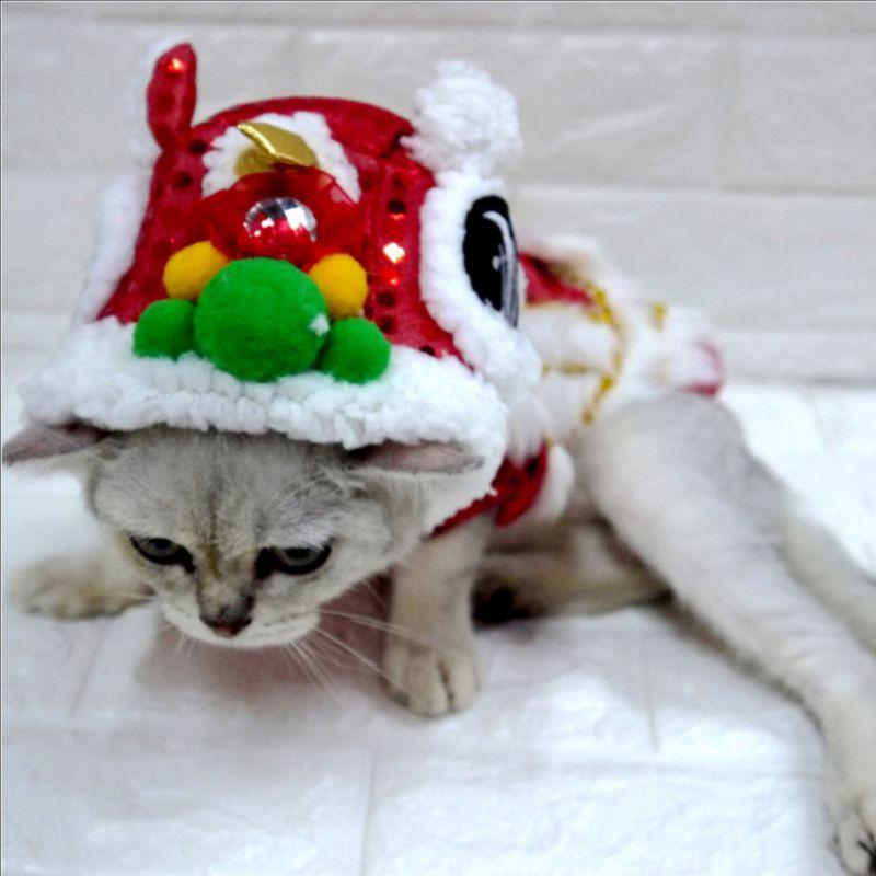 Pet Dog Clothes New Year Chinese Lion Dance Costume Coat For Teddy Costume Small Dog Spring Festival Tang Suit Clothing