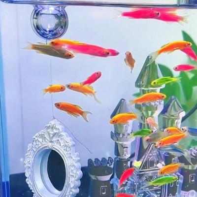 Retro-Stil Betta-Fisch Trainingsspiegel Dekorativer Mini-Aquarium Betta-Spiegel Gravur Reizender Fischspiegel Aquarium Dekor