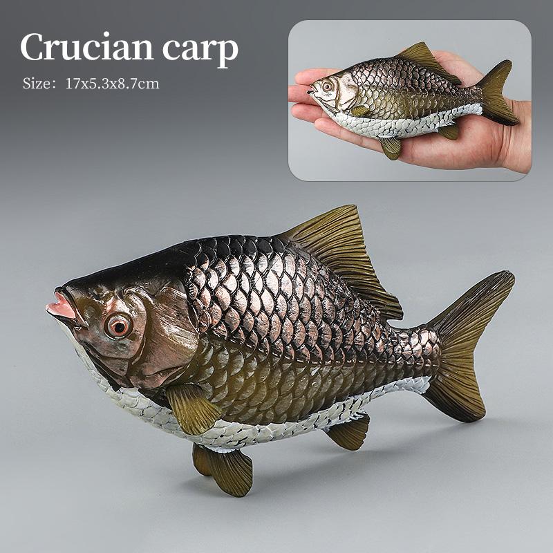 Set di Action Figure Modello Animali Marini - Pesci Oceanici Tonno Pesce Vela Persico Cernia Salmone PVC Giocattolo Educativo per Bambini