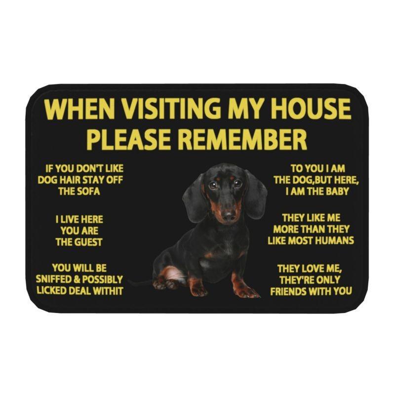 Pet Door Mat Belgian Shepherd Front Floor Door Entrance Mats Outdoor Kitchen Bathroom Doormat Bedroom Carpet Non Slip Floor Rug