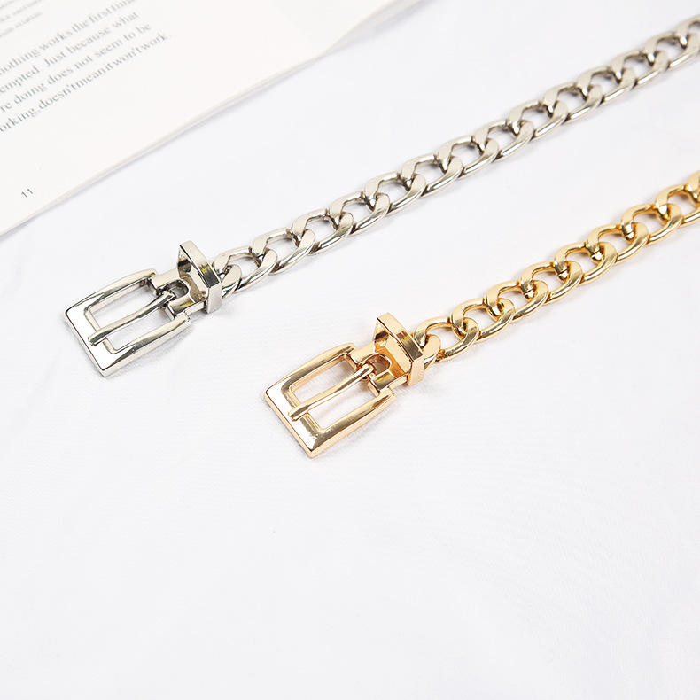 Women Metal Chain Belt 2026 Fashion Luxury Pin Buckle Waist Chain for Dress and Jeans