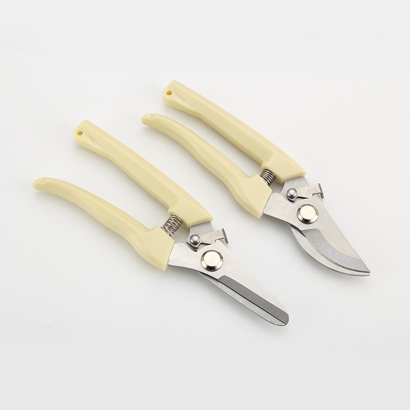 Stainless Steel Pruning Shears for Fruit, Flower, and Branch Gardening