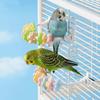 Bite Resistant Parrot Perch Toy Wear Resistant Beak Grinding Rack  Cage Accessories