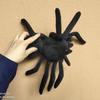 20x30CM Simulation Spider Plush Toys Real Like Stuffed Soft Animal Awful Pillow for Boys Girl Xmas Birthday Gifts