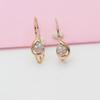 Exquisite Purple Gold Inlaid Zircon Earrings Simple Light Luxury Russian 585 Rose Gold Plated Fashion Colored Gold Earrings