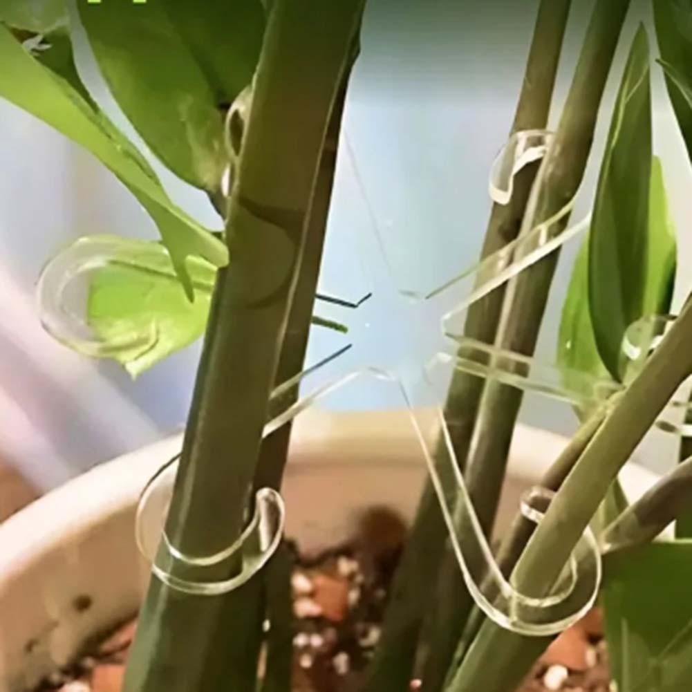 Acrylic Support Flower Stem Support Aesthetic Gardening Solution Plant Fixation Stakes Promotes Healthy Growth