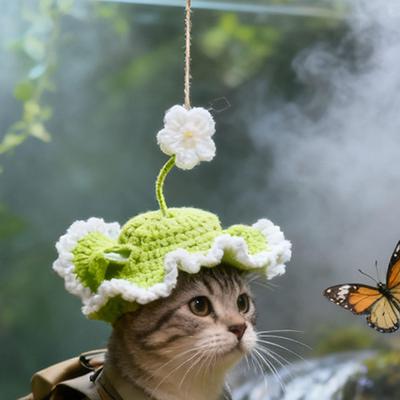 Kaķi – Apģērbi kaķiem