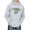 Harry Potter Boys Slytherin Sport Emblem Hoodie