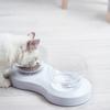 Pet Feeder 20  degrees  Adjustable Pet Cats Drinking Feeding Bowl Transparent Double Cat BowlWhite