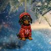 Dog Lover Holiday Advent Gifts 2026 Dachshund Calendar, 24 Days Acrylic Baseball Figures Festive Window Entrance Decor Christmas Countdown Collectible