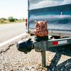 Trailer Dust Cover, Owl Shape Trailer Coupling Cover Cap, Weather-Resistant Towing Hook Protector for SUV Pickup Truck RV Off-Road Vehicle Accessories