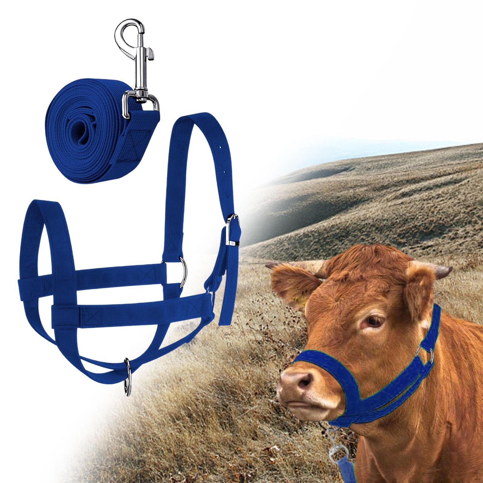 

Коровий недоуздок с поводом Регулируемый для скота Уличный Крупный рогатый скот Теленок Бык Уздечка для лошади L