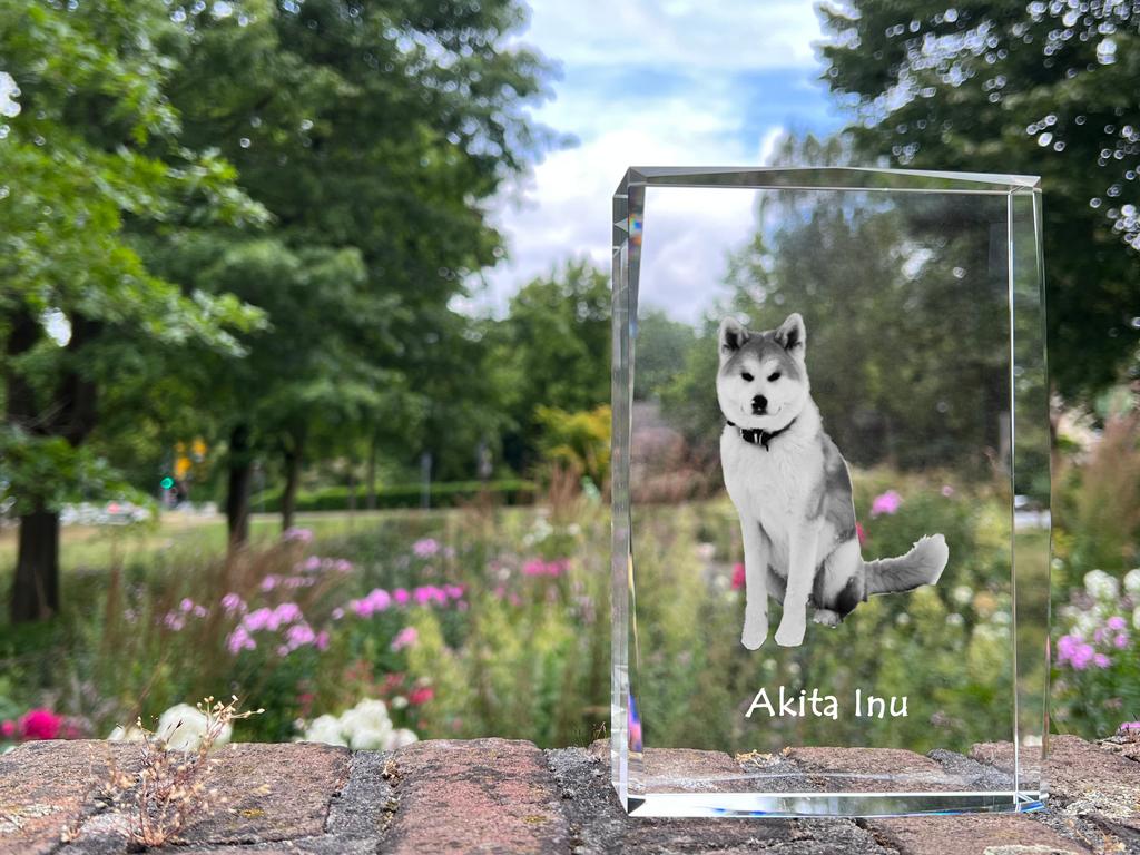 Akita, Akita Inu - crystal with a picture of a dog, photo in glass, modern exhibition of Art-Dog brand photo