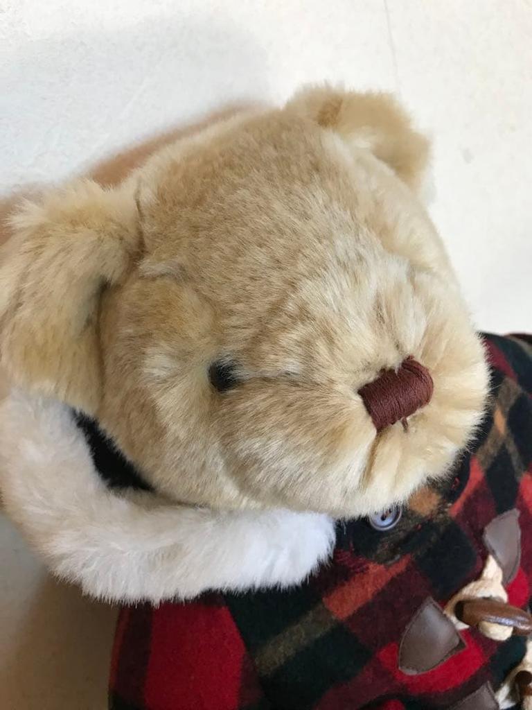 [USED] Super Cute Teddy Bear Plush Duffle Coat