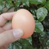 Plastic Eggs Chicken House Small Fake Eggs Simulation Graffiti Eggs Dummy Egg Hen Poultry Chicken Prank Eggs Nest Egg Painting