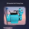 BeiYou ZB 220V Household Self-priming Water Pump CN Plug (adapter Included)