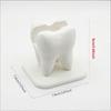 Creative Teeth Styling Business Card Storage Box Clinic Front Desk Display Stand Desktop Decoration Ornaments
