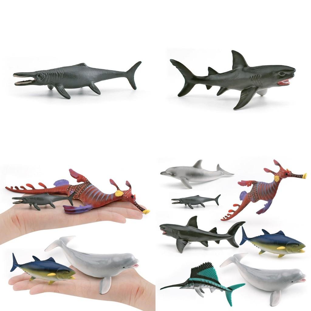 Marine Animal Replica White Whale Shark Static Model For Aquarium Display And Marine Education