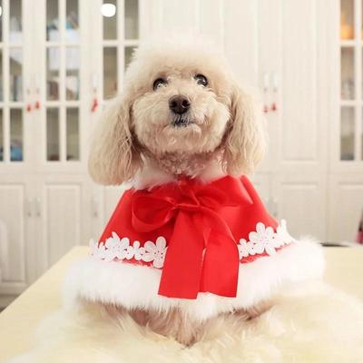 Dog Clothes Autumn and Winter Puppies Dog Clothes Autumn Cat Clothes Pets New Year Holiday Fashion Cloak