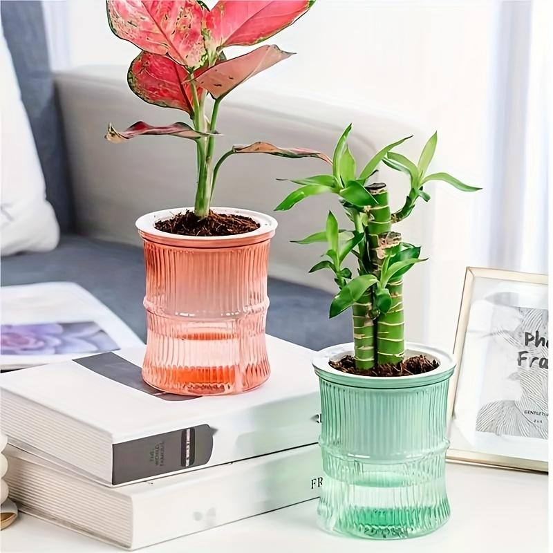 Selbstbewässerung Fauler Mensch Bodenkultivierung Kleiner Topf Wohnzimmer Schreibtisch Bambus Blumen Pflanzgefäße Transparente Vase Raumdeko