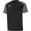Puma Mens TeamPACER Colour Block T-Shirt