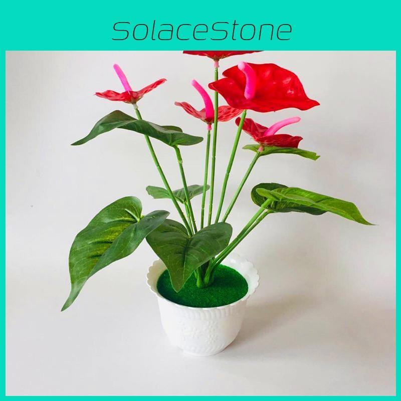 Artificial Anthurium Red Potted Flower For Outdoor Events Decoration Interior
