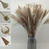 Whisk Rabbit Tail Grass Dried Flower Bouquet - Natural Pampas Grass & Small Reed