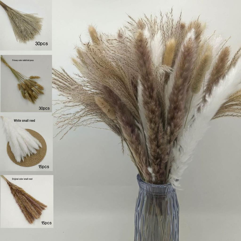 Whisk Rabbit Tail Grass Dried Flower Bouquet - Natural Pampas Grass & Small Reed