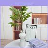 Artificial Green Plant Decor For Home Office With Silk Print Fabric For Wedding And Photography Use