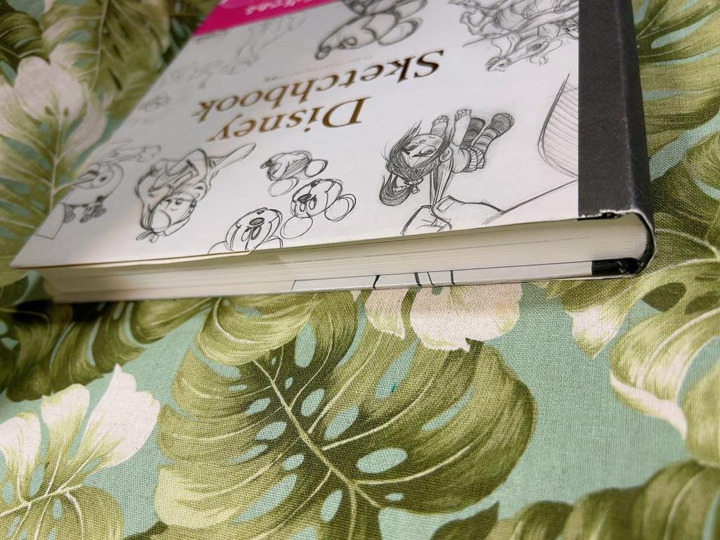 [USED] Disney Sketchbook Disney Sketchbook Sketch Art Collection