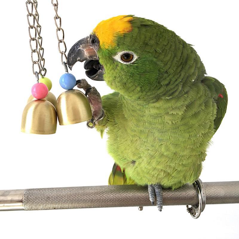 parrot bells