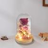 Rose Süßer Teddybär im Glas mit LED Niedlicher Bär Ewige Rose im Glas Konservierte Rosen Bären Geschenke für Freundin Liebhaber Geschenk
