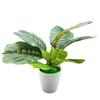 Faux Green Plant With Injection Molded Leaves For Living Room Decoration Gift Ideas