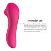 Little Dolphin Magic Vibration Stick for Women - Self-Pleasure Sucking Device & Jumping Egg
